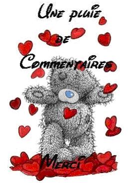 commentaire